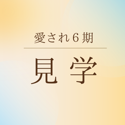メディカサトウ