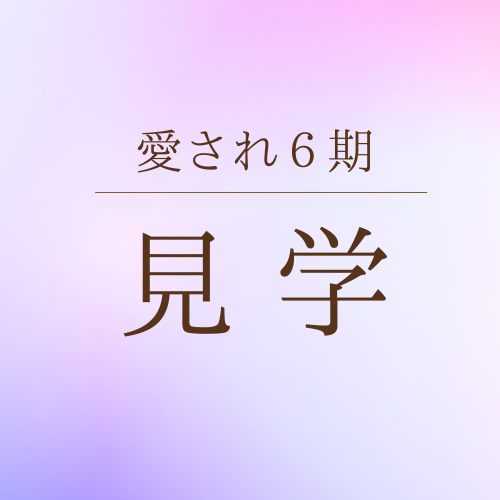 メディカサトウ