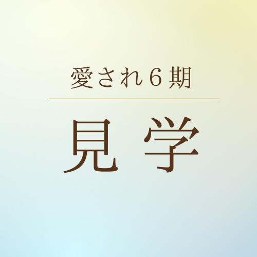 メディカサトウ