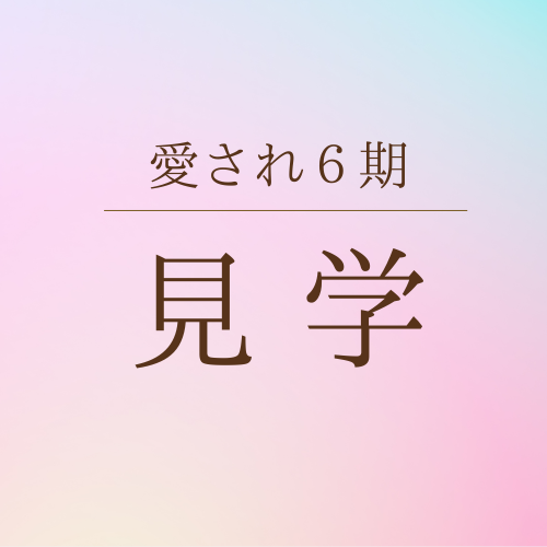 メディカサトウ
