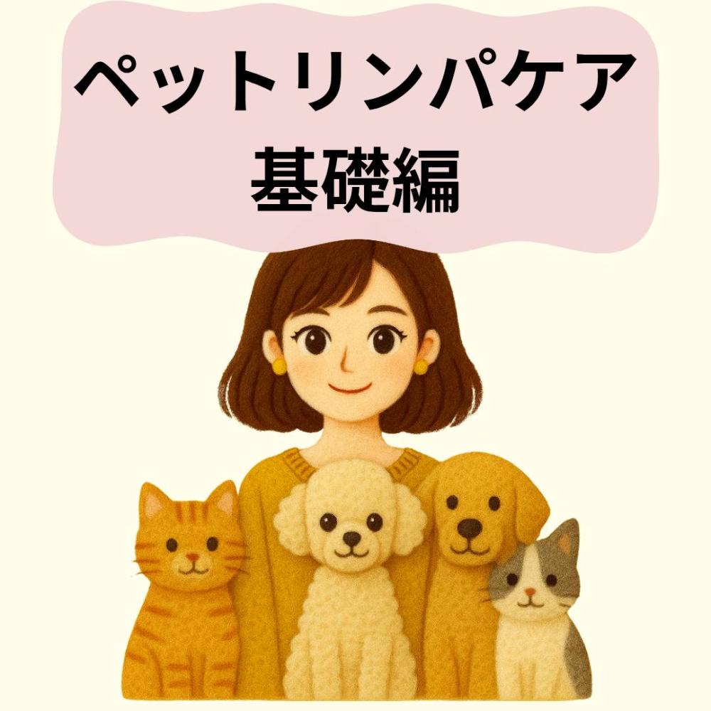 赤尾真紀
