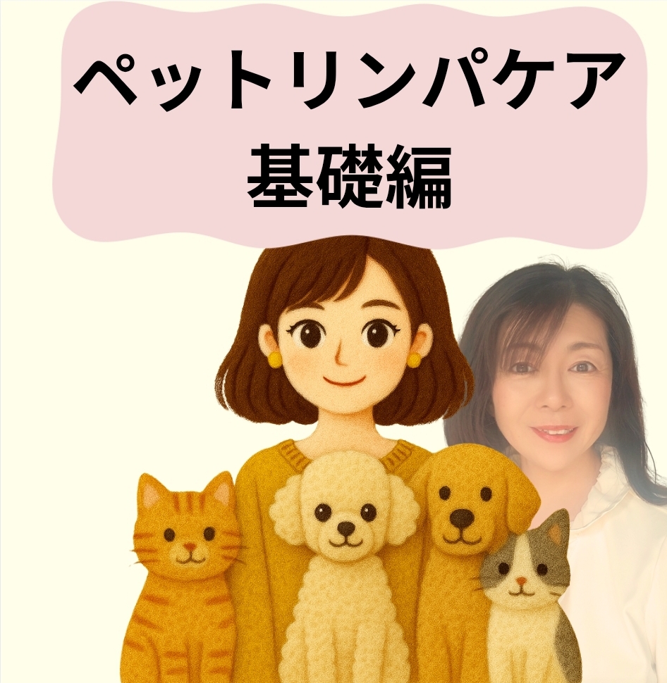 赤尾真紀