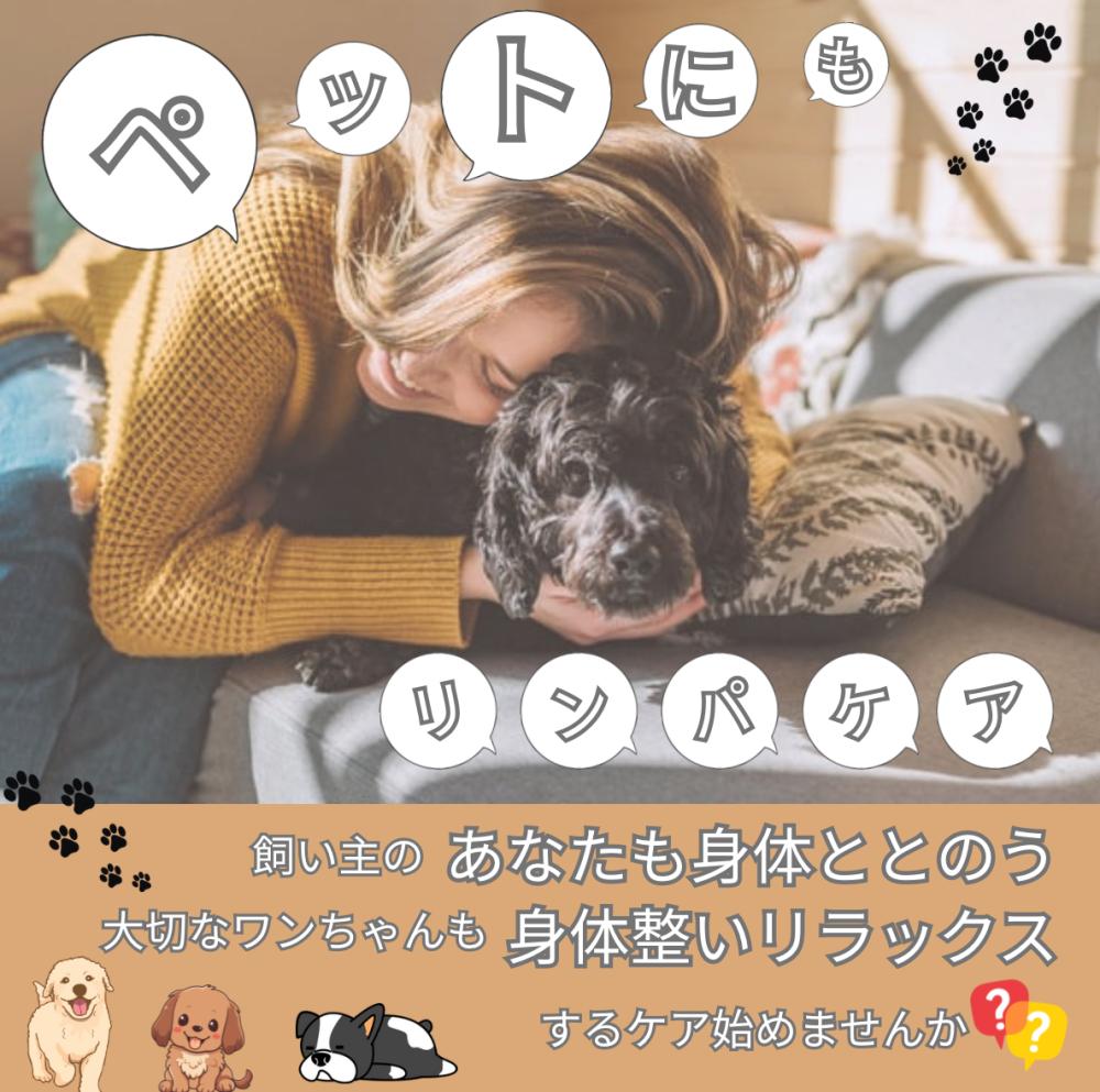 朝比奈宏恵