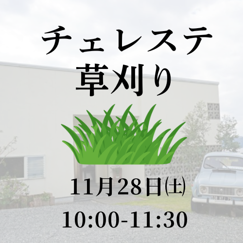 メディカサトウ